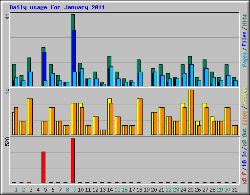 Daily usage for January 2011