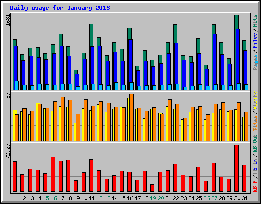 Daily usage for January 2013