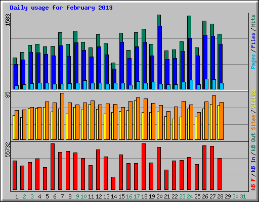 Daily usage for February 2013