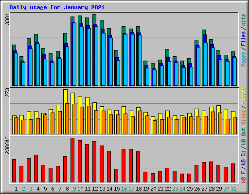 Daily usage for January 2021