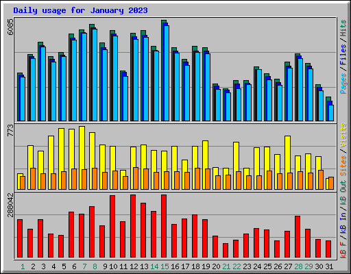 Daily usage for January 2023