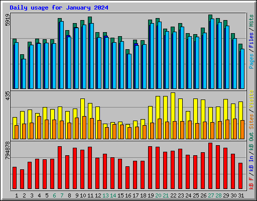 Daily usage for January 2024