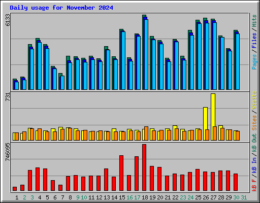 Daily usage for November 2024