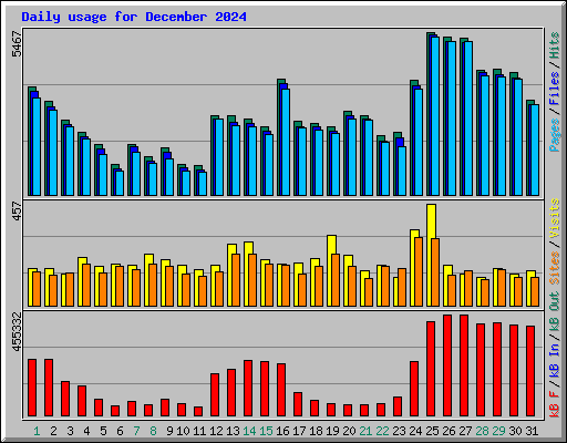 Daily usage for December 2024