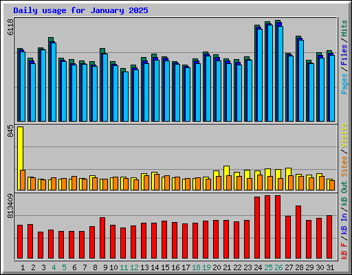 Daily usage for January 2025