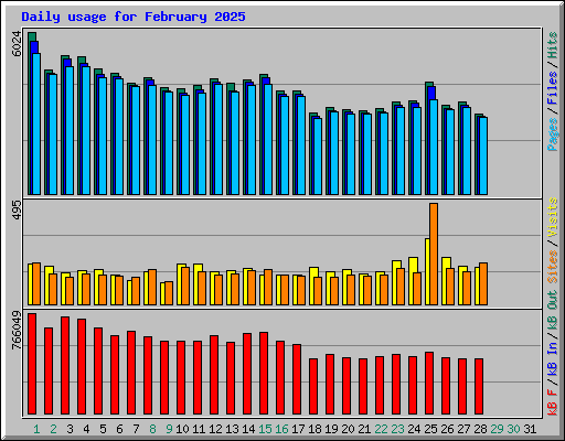 Daily usage for February 2025