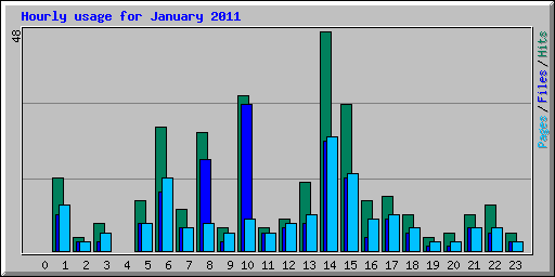 Hourly usage for January 2011