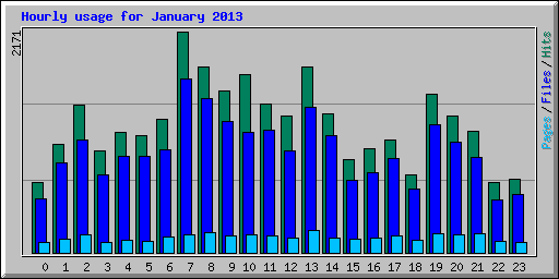 Hourly usage for January 2013