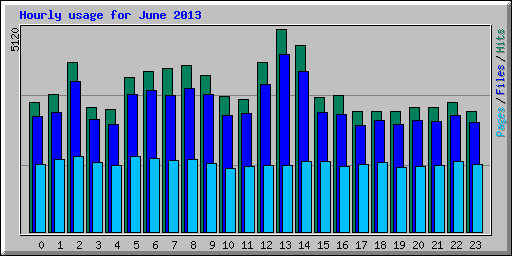 Hourly usage for June 2013