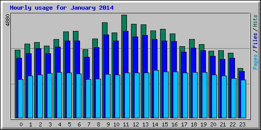 Hourly usage for January 2014