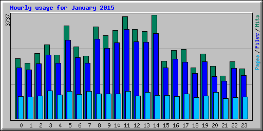 Hourly usage for January 2015