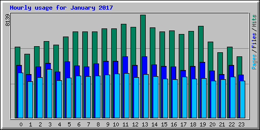 Hourly usage for January 2017
