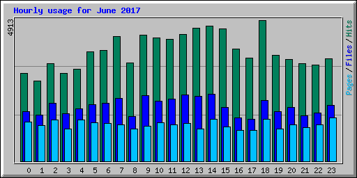Hourly usage for June 2017