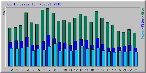 Hourly usage for August 2018