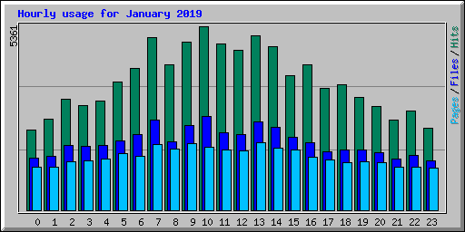 Hourly usage for January 2019