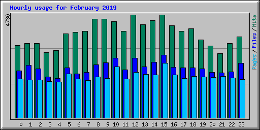 Hourly usage for February 2019