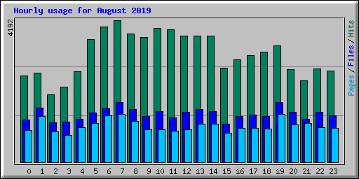 Hourly usage for August 2019