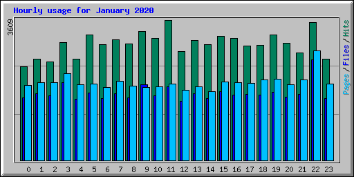 Hourly usage for January 2020