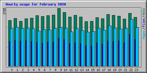 Hourly usage for February 2020