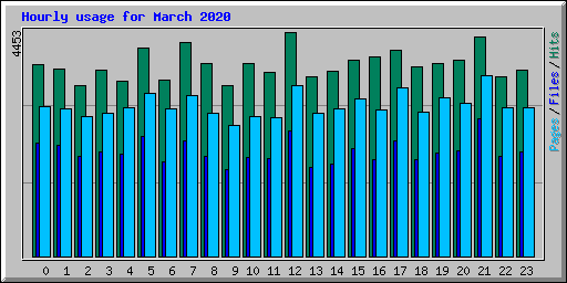 Hourly usage for March 2020