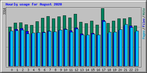 Hourly usage for August 2020