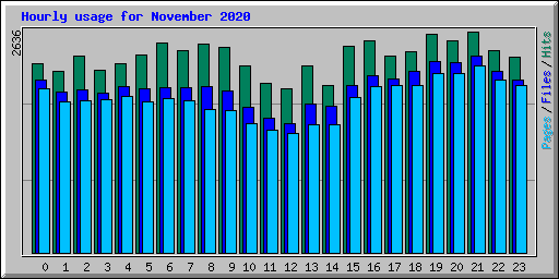 Hourly usage for November 2020