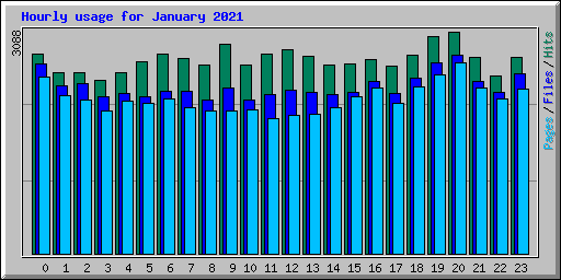 Hourly usage for January 2021