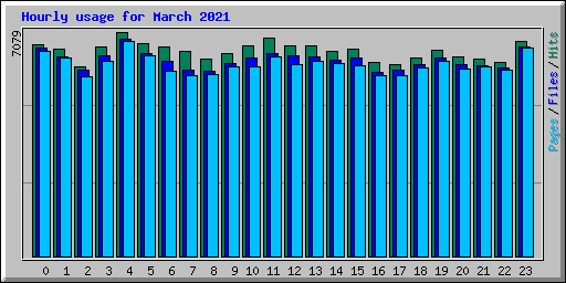 Hourly usage for March 2021