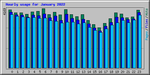 Hourly usage for January 2022