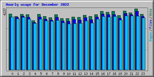 Hourly usage for December 2022