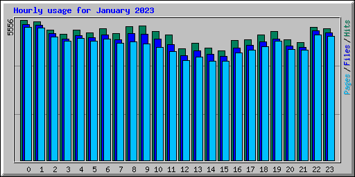 Hourly usage for January 2023