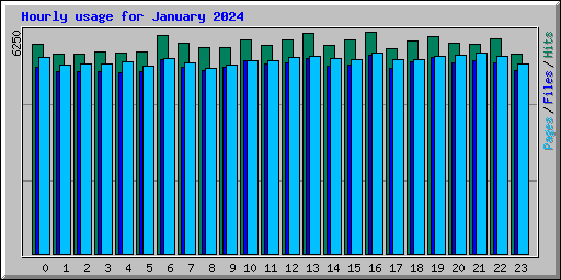 Hourly usage for January 2024