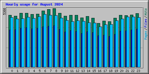 Hourly usage for August 2024