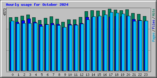 Hourly usage for October 2024