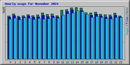 Hourly usage for November 2024