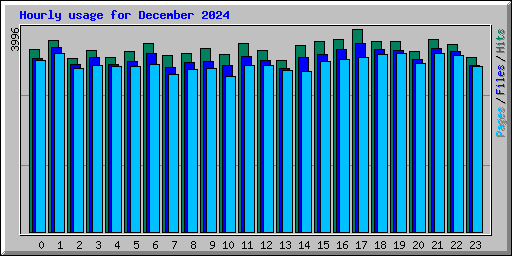 Hourly usage for December 2024