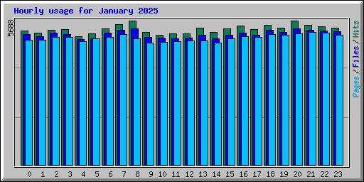 Hourly usage for January 2025