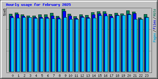Hourly usage for February 2025