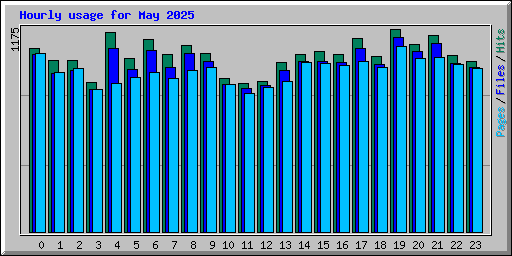Hourly usage for May 2025